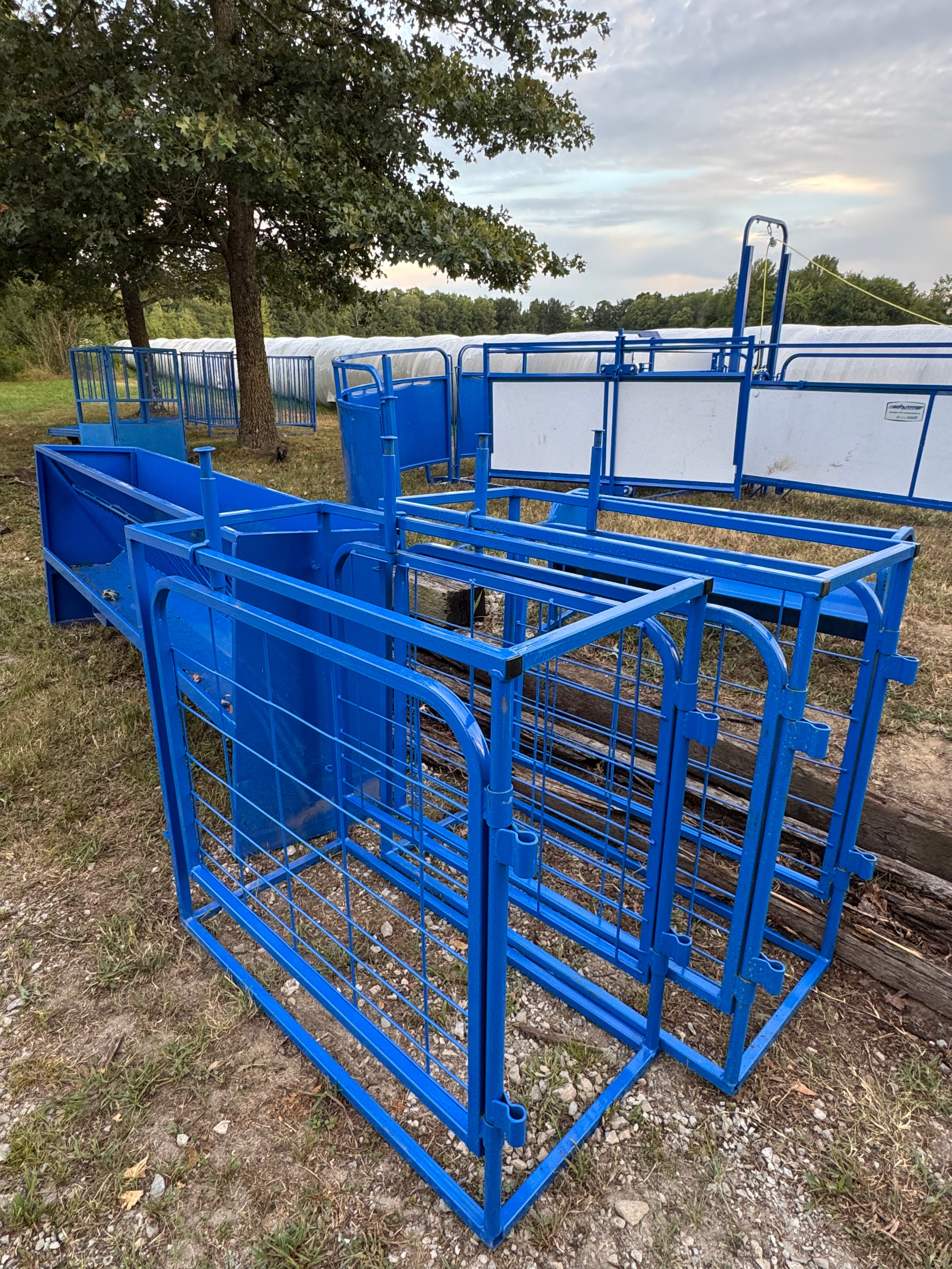 Goat & Sheep Sorter - Market Row