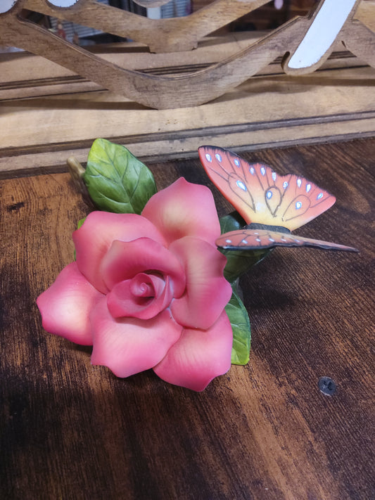 Rose butterfly - Market Row
